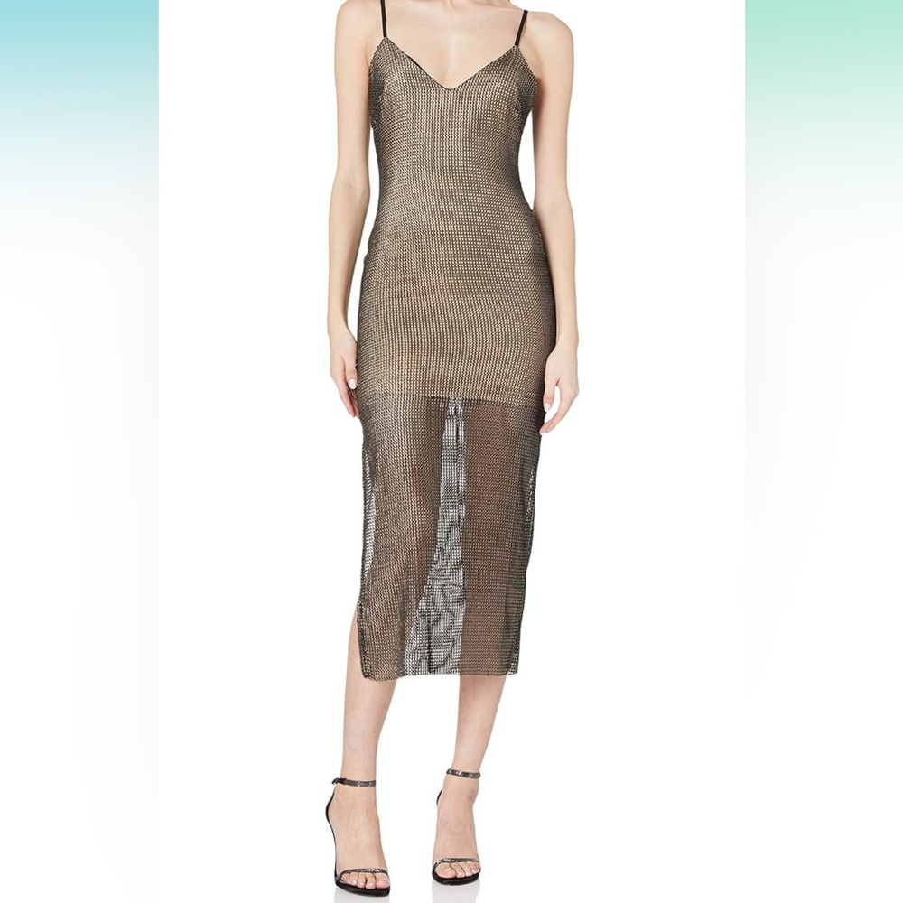 NWT Cosmopolitan mesh dress size XS